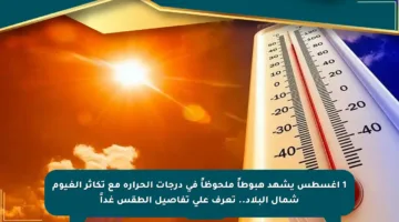 1 أغسطس يشهد هبوطاً ملحوظاً في درجات الحرارة مع تكاثر الغيوم شمال البلاد.. تعرف على تفاصيل الطقس غداً